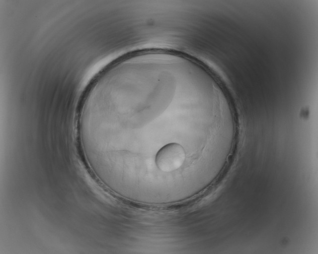 X0000115171077200911251328