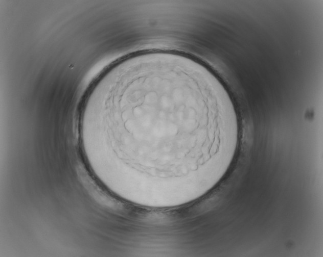 X0000115171078200911251328