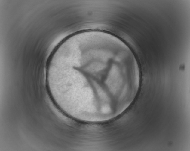 X0000115171079200911251328