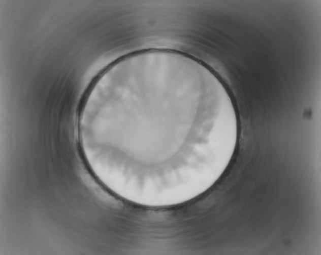 X0000115171080200911251328