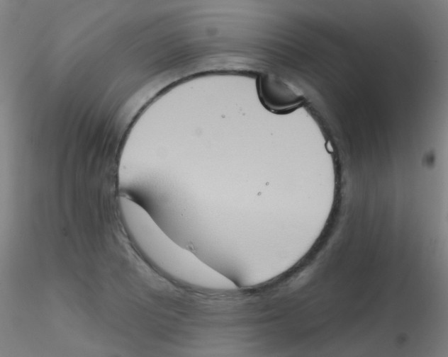 X0000115171081200911251328