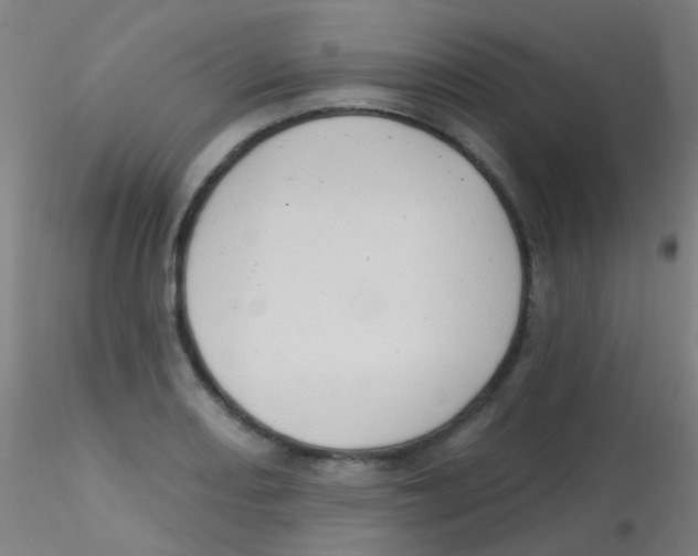 X0000115171082200911251328