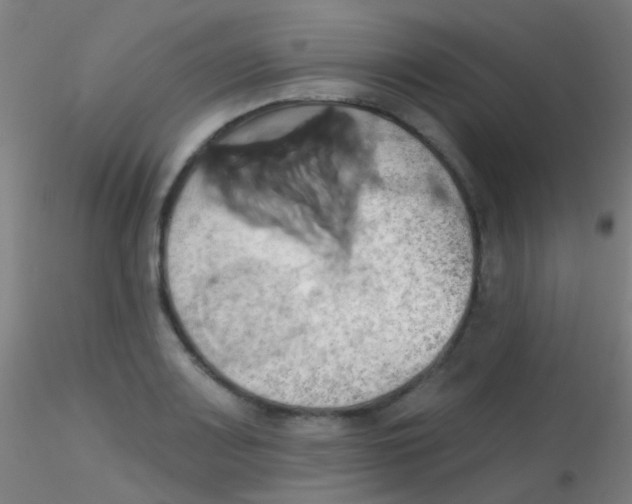 X0000115171083200911251328