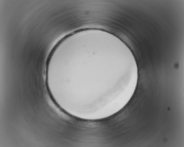 X0000115171084200911251328