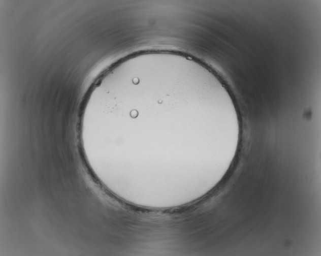 X0000115171085200911251328