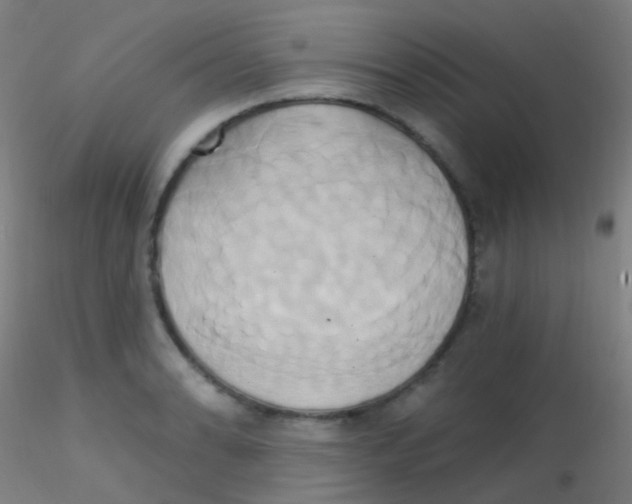 X0000115171086200911251328