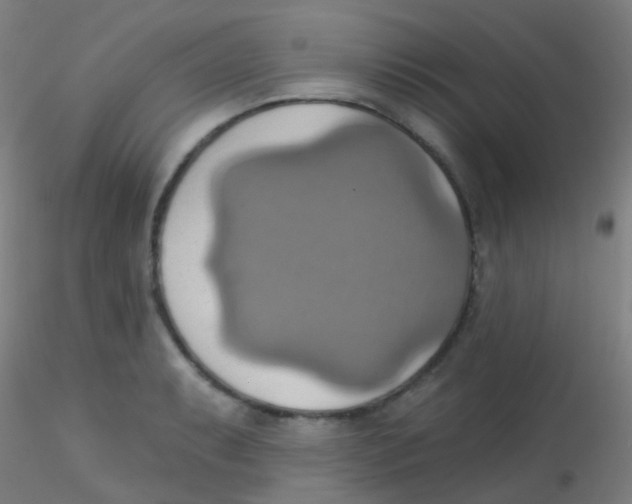 X0000115171087200911251328