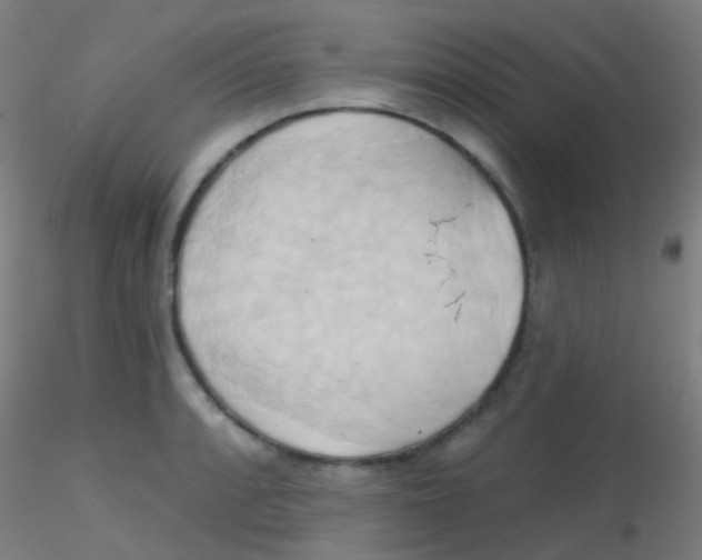 X0000115171088200911251328