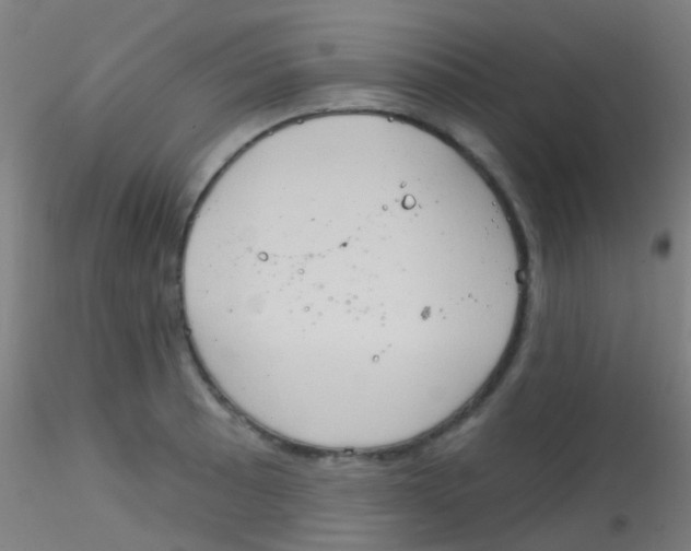 X0000115171089200911251328