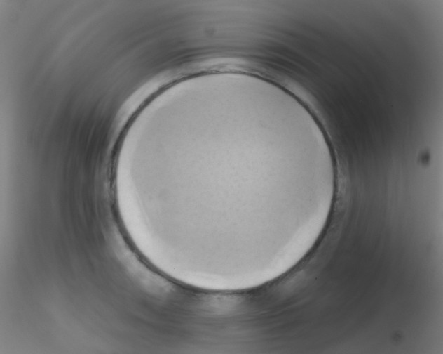 X0000115171090200911251328