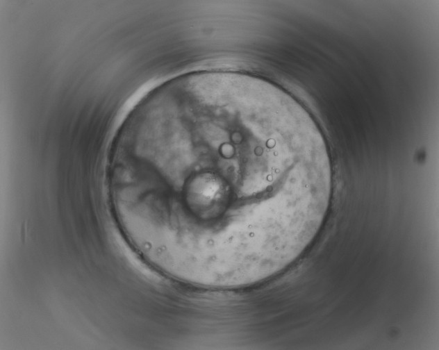 X0000115171091200911251328