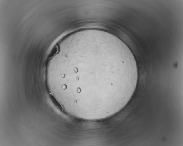 X0000115171092200911251328