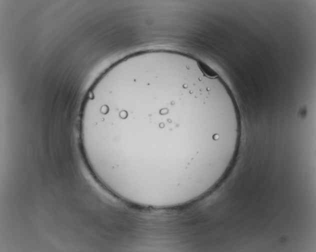 X0000115171093200911251328