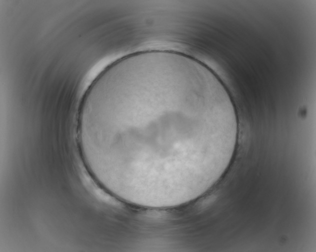 X0000115171094200911251328