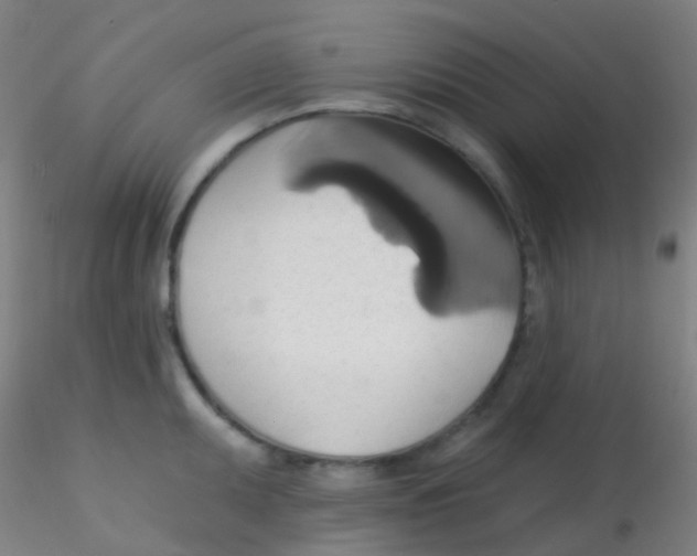 X0000115171095200911251328