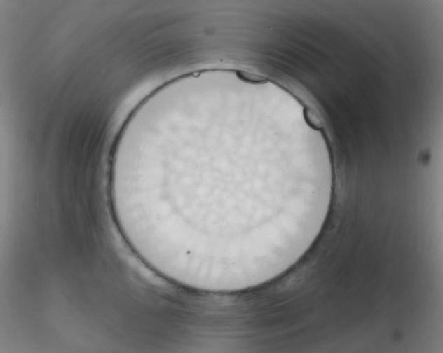 X0000115171096200911251328