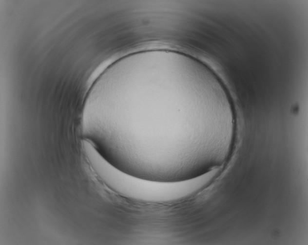 X0000115171097200911251328