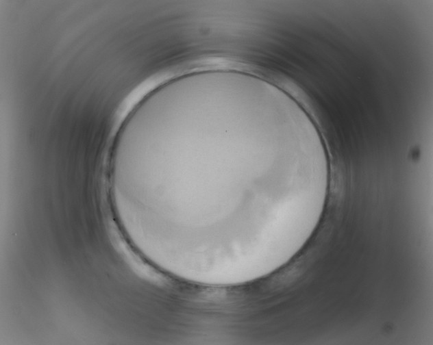 X0000115171098200911251328