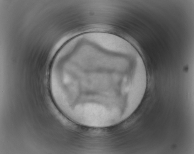 X0000115171099200911251328