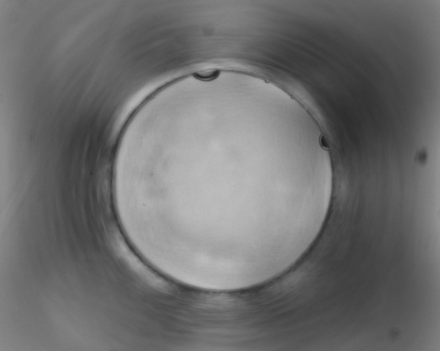 X0000115171100200911251328