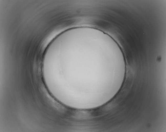 X0000115171101200911251328