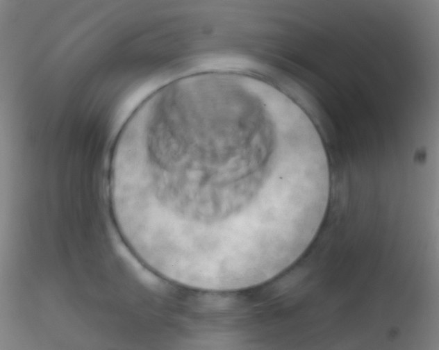 X0000115171103200911251328