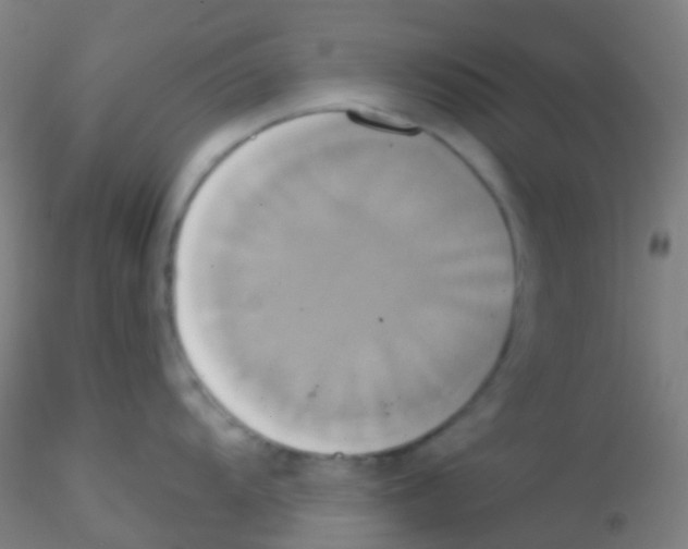 X0000115171104200911251328