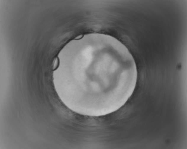 X0000115171105200911251327