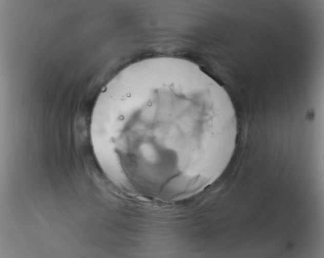 X0000115171106200911251327