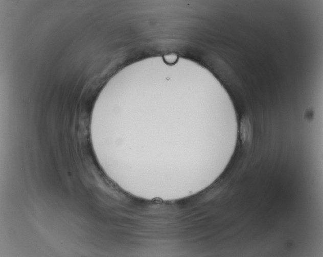 X0000115171107200911251327