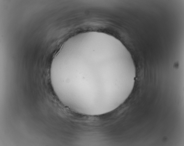 X0000115171109200911251327