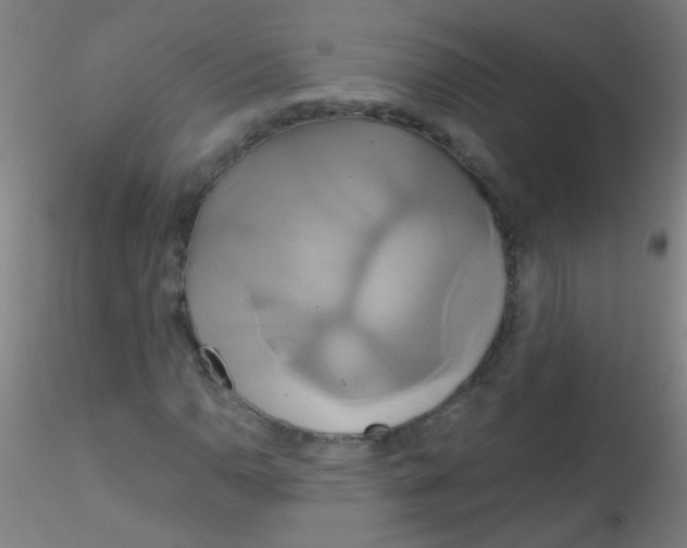 X0000115171110200911251327