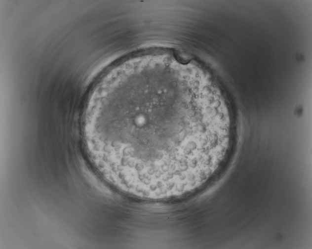 X0000115171113200911251327