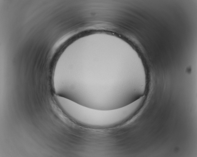 X0000115171114200911251327