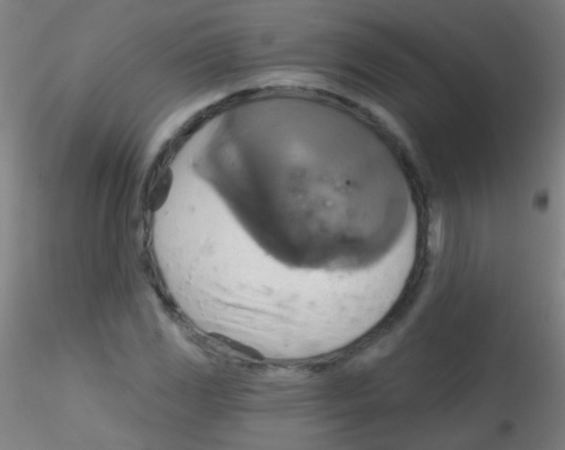 X0000115171117200911251328