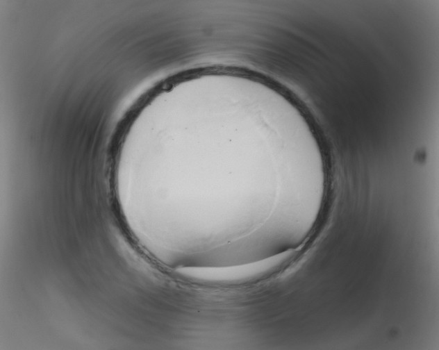 X0000115171118200911251328