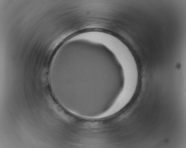 X0000115171121200911251328