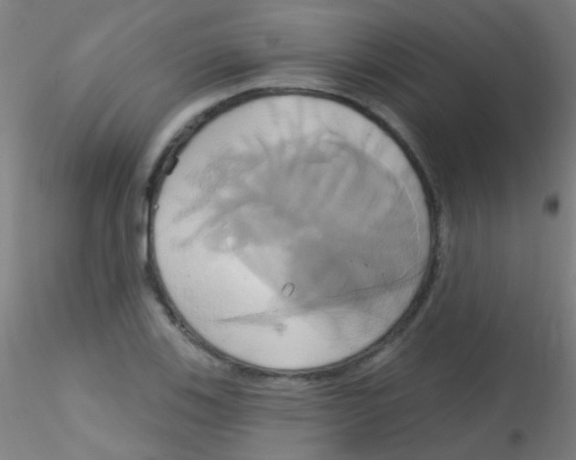 X0000115171123200911251328