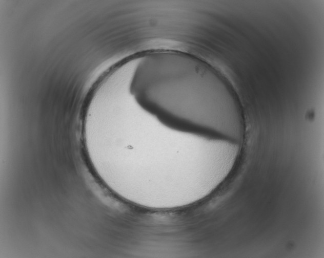 X0000115171125200911251328