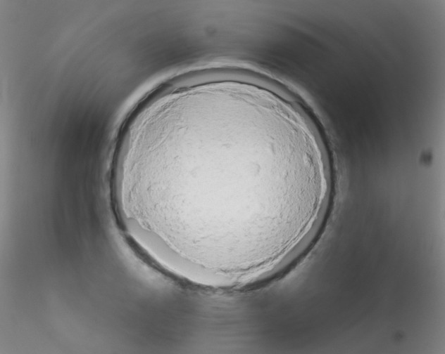 X0000115171126200911251328