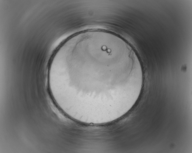 X0000115171127200911251328