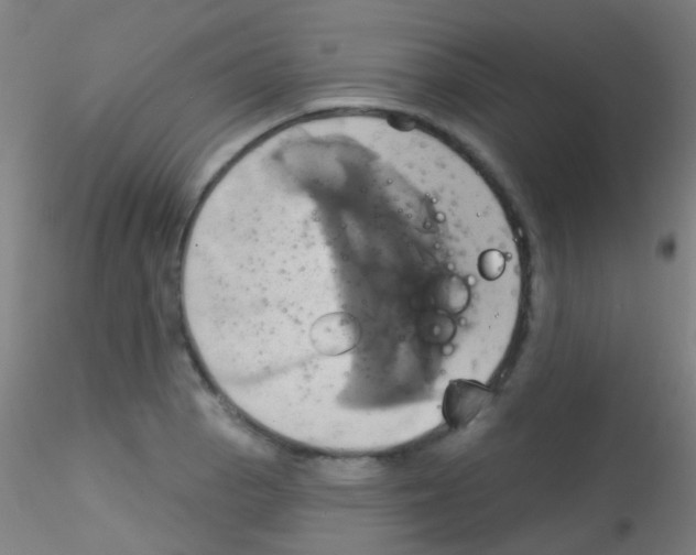 X0000115171129200911251328