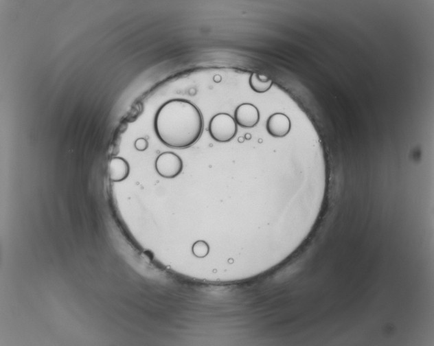 X0000115171130200911251328