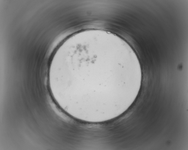 X0000115171131200911251328