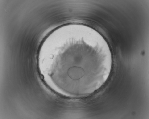 X0000115171133200911251328