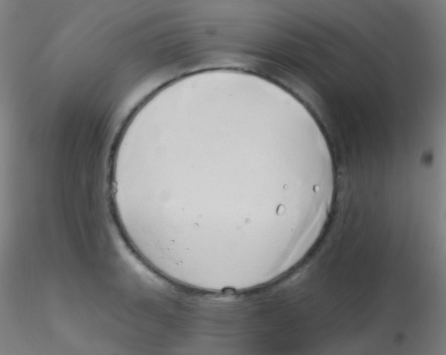 X0000115171135200911251328