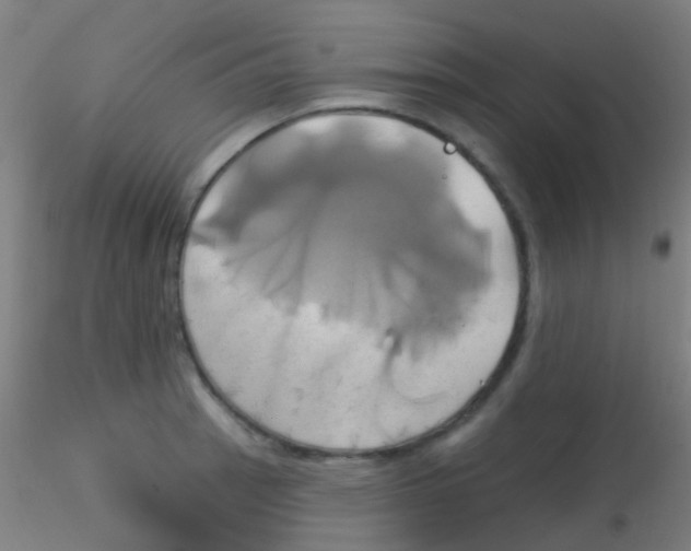 X0000115171137200911251328