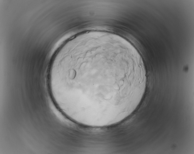 X0000115171139200911251328