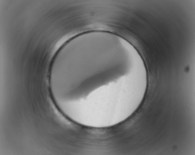 X0000115171141200911251328