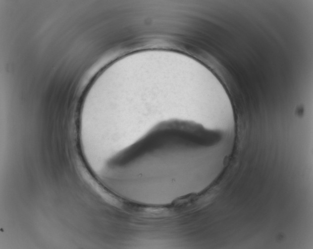 X0000115171142200911251328